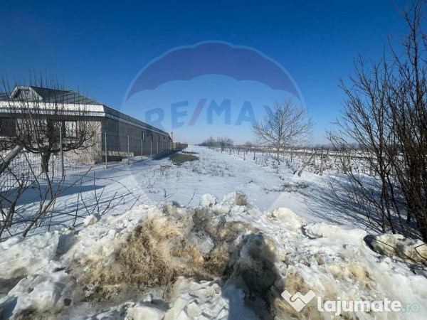 Teren intravilan Rastoaca - Varsatura