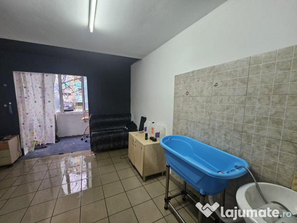 Spațiu comercial de vânzare | Trivale – Str. Bradului 