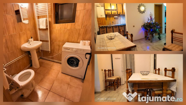 Cabana La Breazu – Trambulină & Biliard | 3 bai - 2 dormitoare 