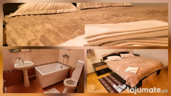 Cabana La Breazu – Trambulină & Biliard | 3 bai - 2 dormitoare 