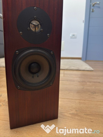 Boxe profesionale TOTEM ROKK 