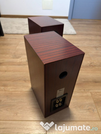 Boxe profesionale TOTEM ROKK 