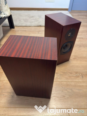 Boxe profesionale TOTEM ROKK 