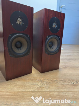 Boxe profesionale TOTEM ROKK 