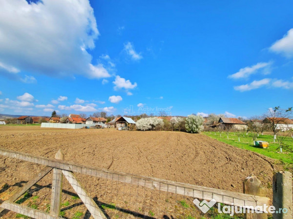 Casa Saniob - 2000 mp teren