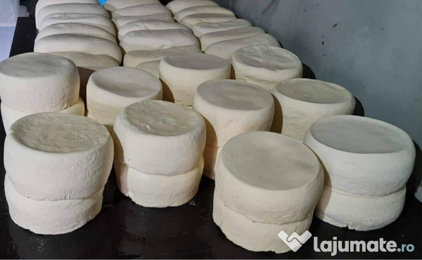 Brânză de vacă semisarata 