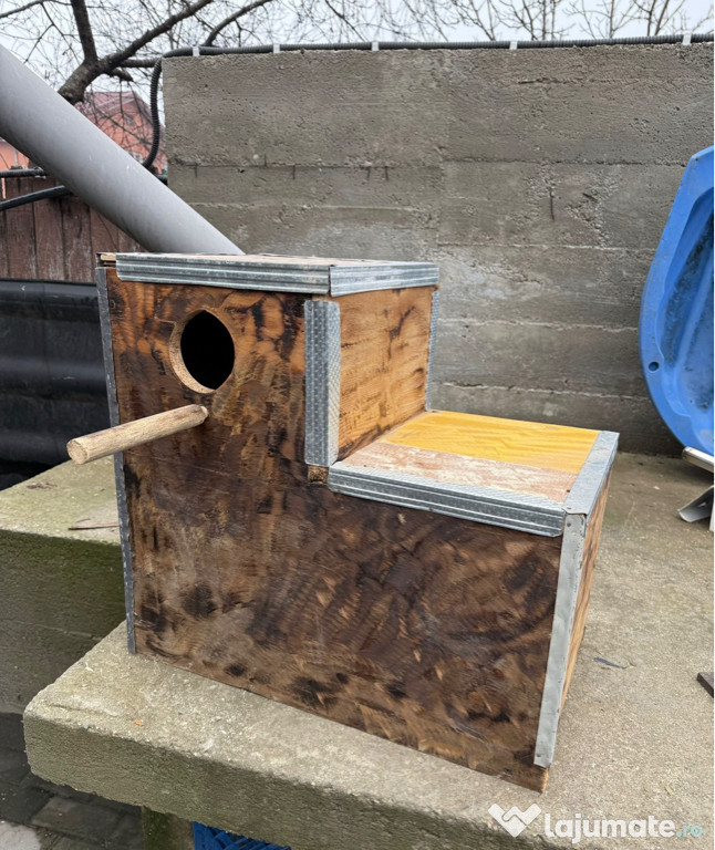 Execut vand cuiburi papagali 