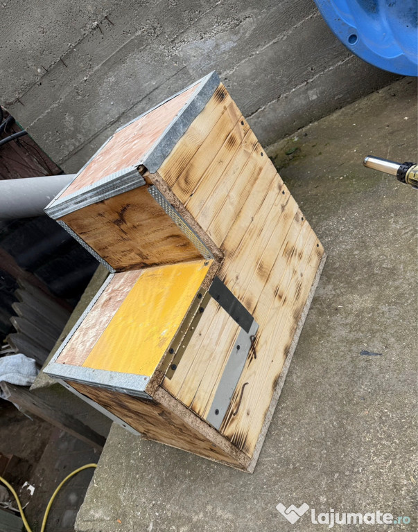 Execut vand cuiburi papagali 