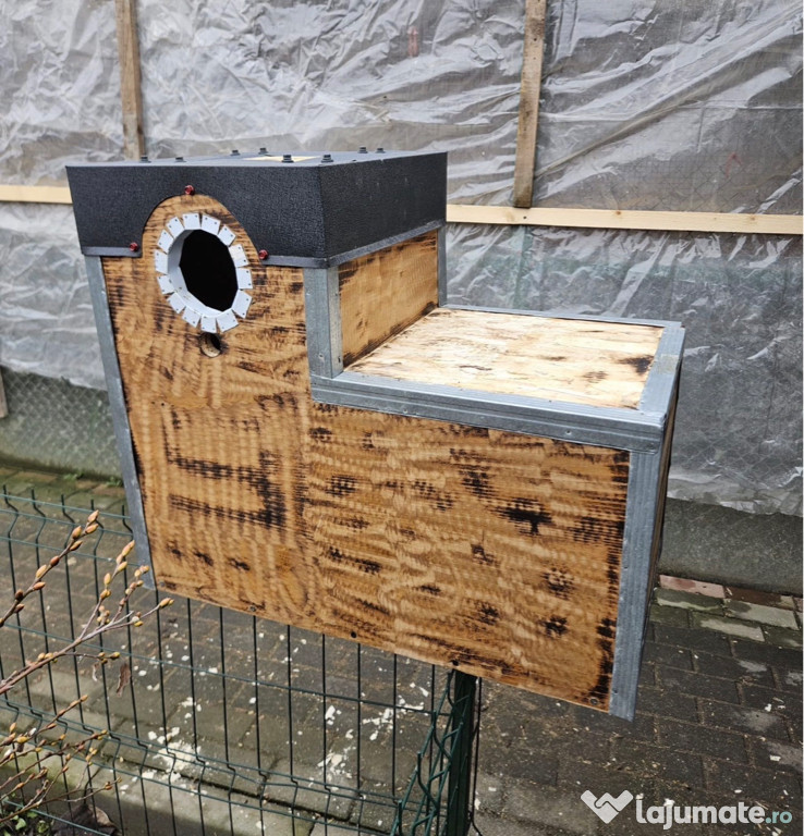 Execut vand cuiburi papagali 