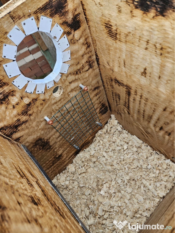 Execut vand cuiburi papagali 