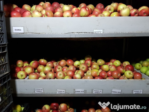 Țuică din prune la peste 42 grade, mere și suc de mere 