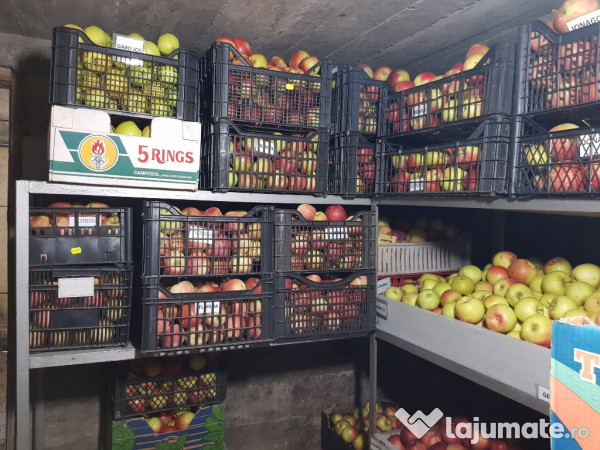 Țuică din prune la peste 42 grade, mere și suc de mere 