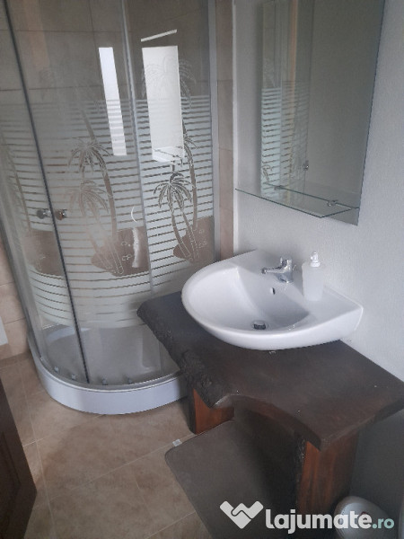 Apartament trei camere in vila situat in Busteni 