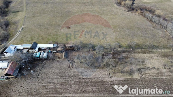 Teren 2925 mp comuna Mitocu Dragomirnei