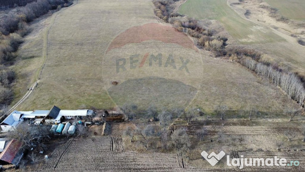 Teren 2925 mp comuna Mitocu Dragomirnei