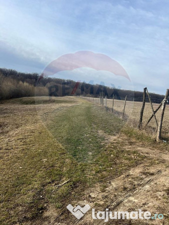 Teren 2925 mp comuna Mitocu Dragomirnei