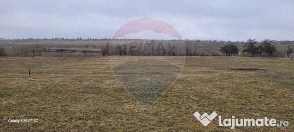 Teren 2925 mp comuna Mitocu Dragomirnei
