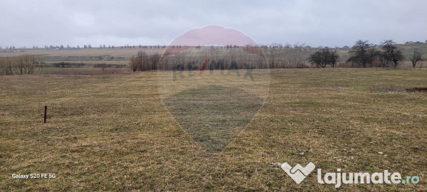 Teren 2925 mp comuna Mitocu Dragomirnei