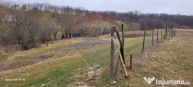 Teren 2925 mp comuna Mitocu Dragomirnei