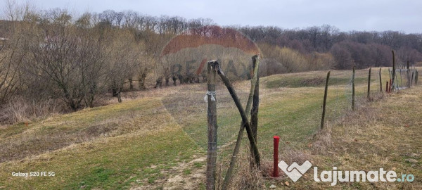 Teren 2925 mp comuna Mitocu Dragomirnei