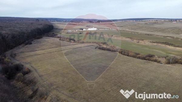 Teren 2925 mp comuna Mitocu Dragomirnei