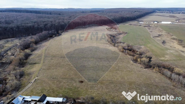 Teren 2925 mp comuna Mitocu Dragomirnei