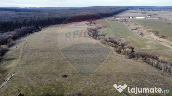Teren 2925 mp comuna Mitocu Dragomirnei