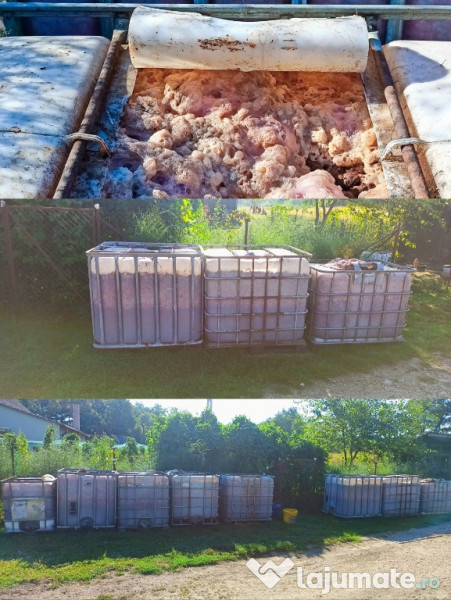 Palinca de Prune de Salaj 52 grade, Tuleu Romanesc 2024 