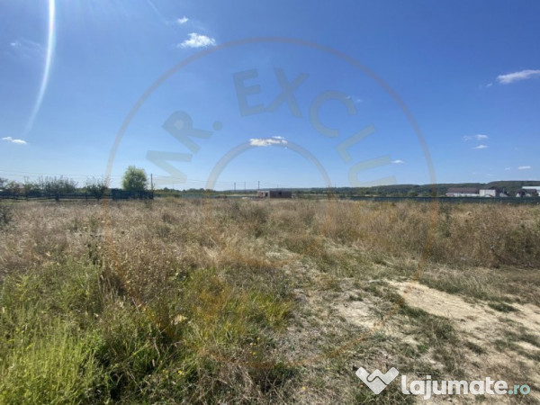 Teren zona Magic Trivale intravilan 1040 mp 