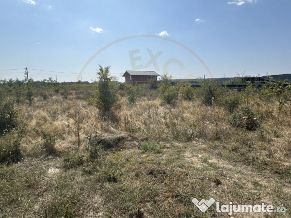 Teren zona Magic Trivale intravilan 1040 mp 