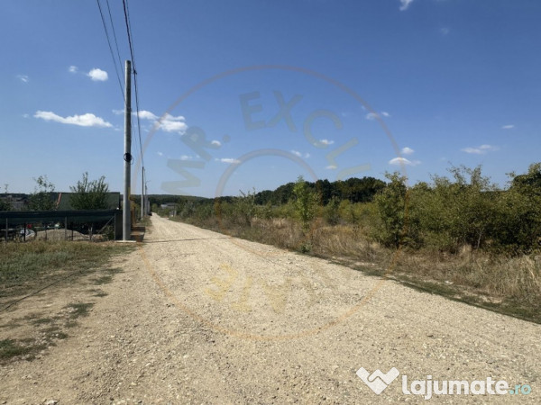 Teren zona Magic Trivale intravilan 1040 mp 