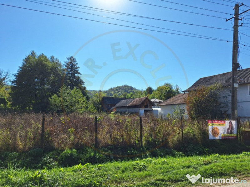 Teren Vacarea ,Mihaiesti , Arges - 5381 mp