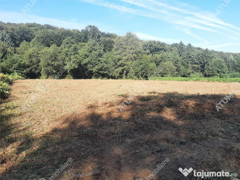 Teren intravilan de 1856 mp in Avrig zona Valea Avrigului 