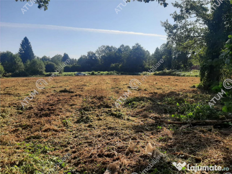 Teren intravilan de 1856 mp in Avrig zona Valea Avrigului 