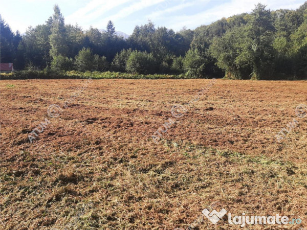 Teren intravilan de 1856 mp in Avrig zona Valea Avrigului 