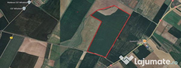 Mihailesti-Giurgiu-DN6 