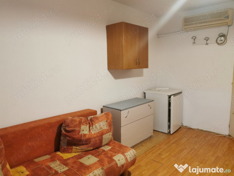 Garsonieră Buziașului 