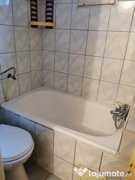 Garsonieră Buziașului 