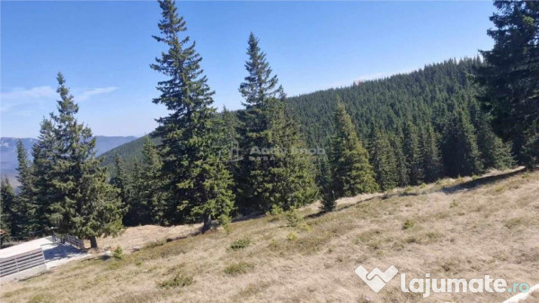 Casa de vacanta - 1.800 mp - Varful lui Roman - Horezu 