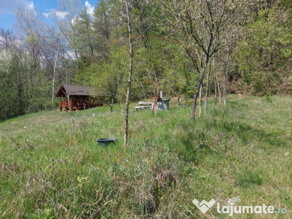 Casa imbratisata de padure - Valea Ursului, Bascov