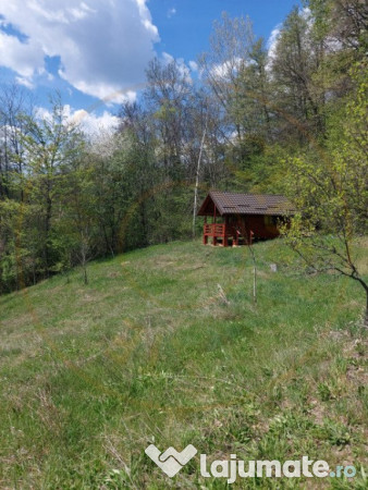 Casa imbratisata de padure - Valea Ursului, Bascov