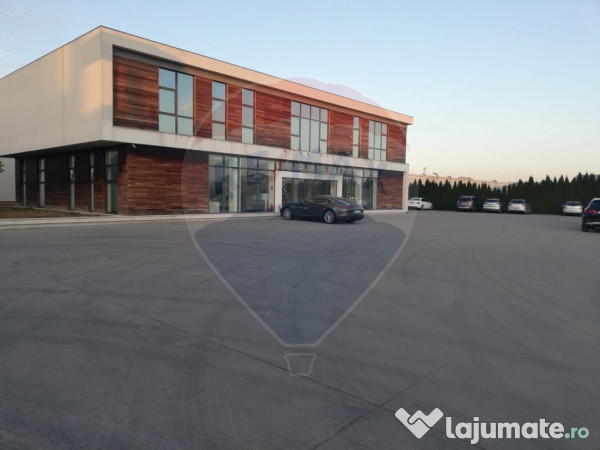 DE VANZARE Hala | 17.230mp | 4MW | 3ha Teren | Sebes | A1 