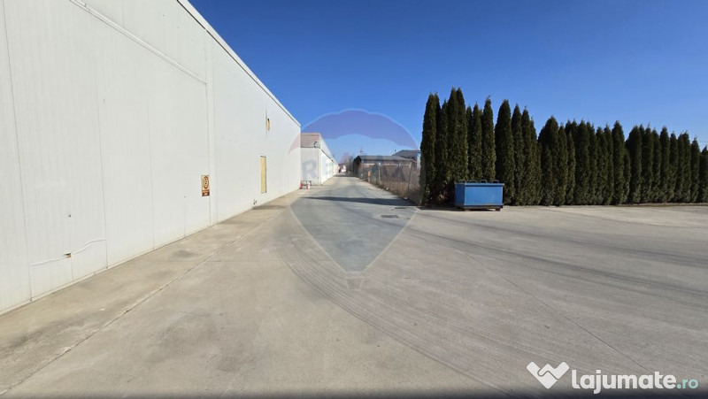 DE VANZARE Hala | 17.230mp | 4MW | 3ha Teren | Sebes | A1 