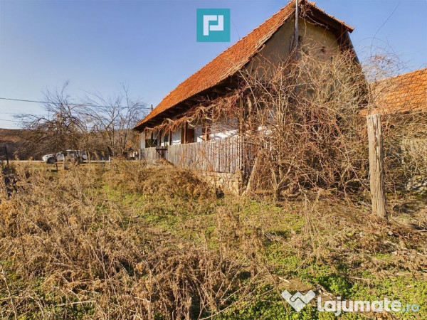 Casă rustică de vânzare în Tauț