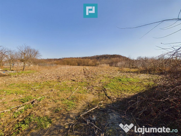 Casă rustică de vânzare în Tauț