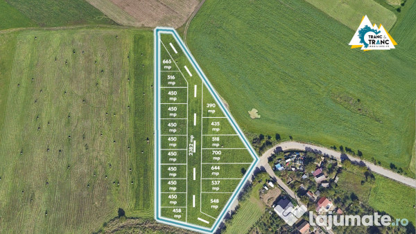 Teren de 11500 mp pentru Complex Rezidențial în Sânnicolau Mic