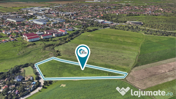Teren de 11500 mp pentru Complex Rezidențial în Sânnicolau Mic