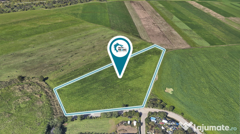 Teren de 11500 mp pentru Complex Rezidențial în Sânnicolau Mic