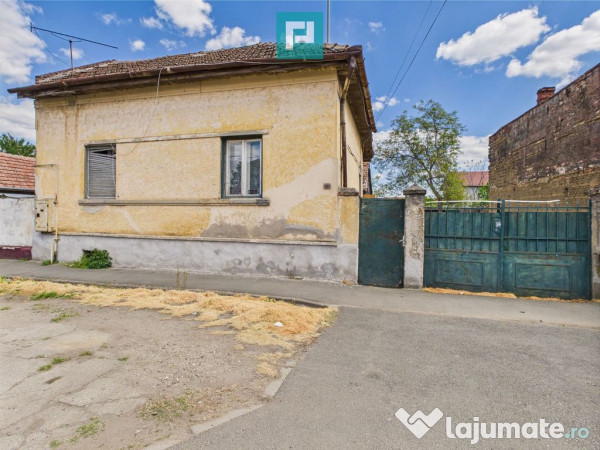 Case de vânzare cu teren generos - Alfa 
