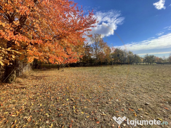 Teren Premium 1559 mp, Brebu Manastirei – Refugiu Montan l